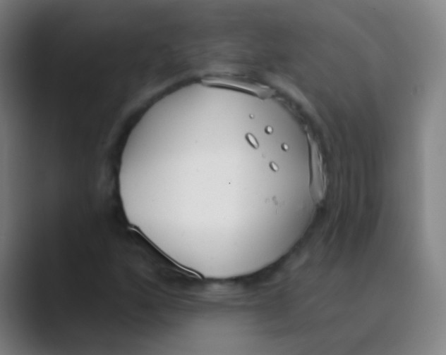 X0000088711160200706282037