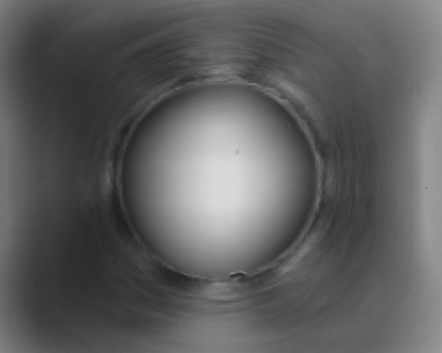 X0000088711161200706282037