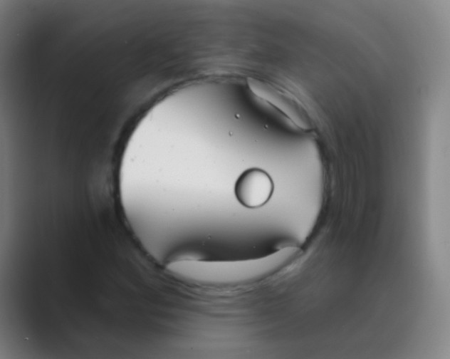 X0000088711164200706282037