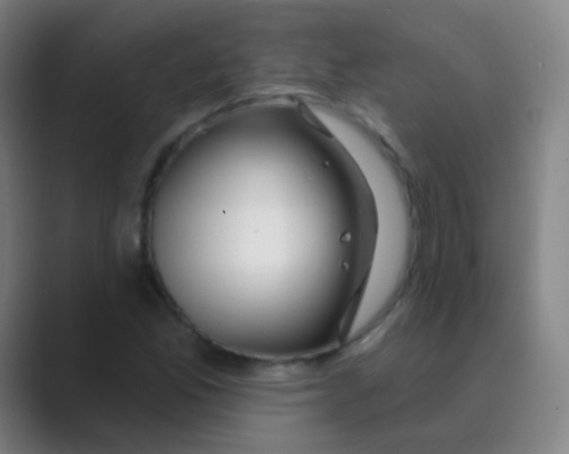 X0000088711165200706282037