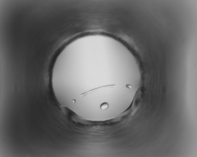 X0000088711167200706282037