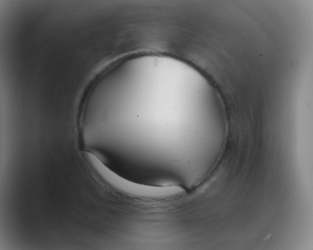 X0000088711168200706282037