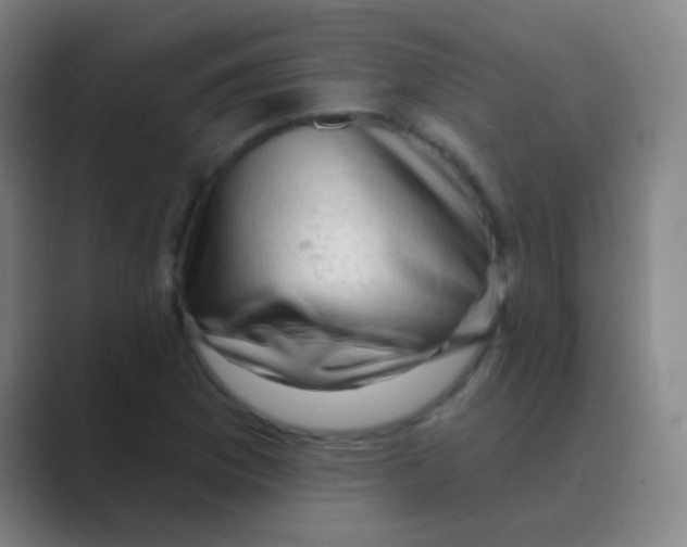 X0000088711169200706282037