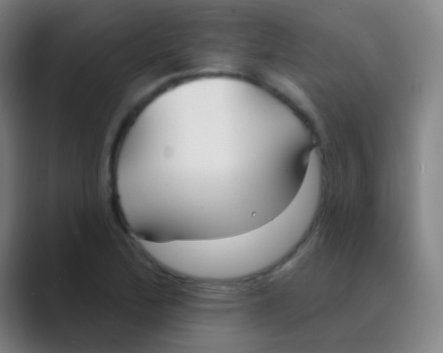 X0000088711172200706282037