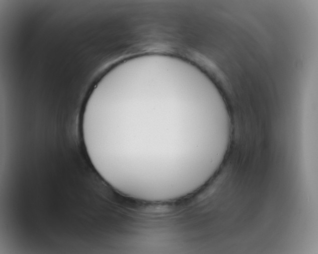 X0000088711174200706282037