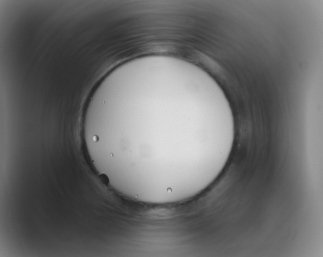 X0000088711178200706282037