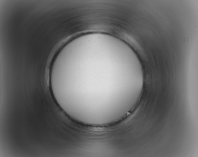 X0000088711180200706282037