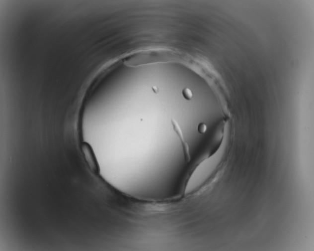 X0000088711181200706282037