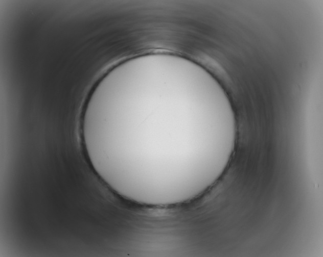 X0000088711182200706282037