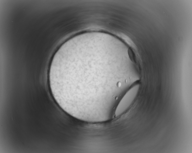 X0000088711183200706282037