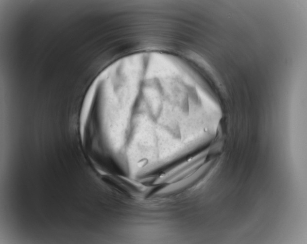 X0000088711185200706282037