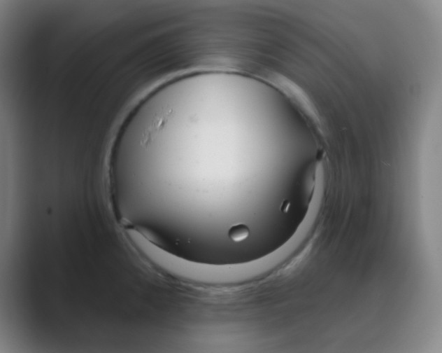 X0000088711192200706282037