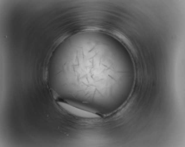 X0000088711193200706282037