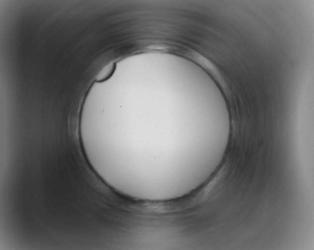 X0000088711194200706282037