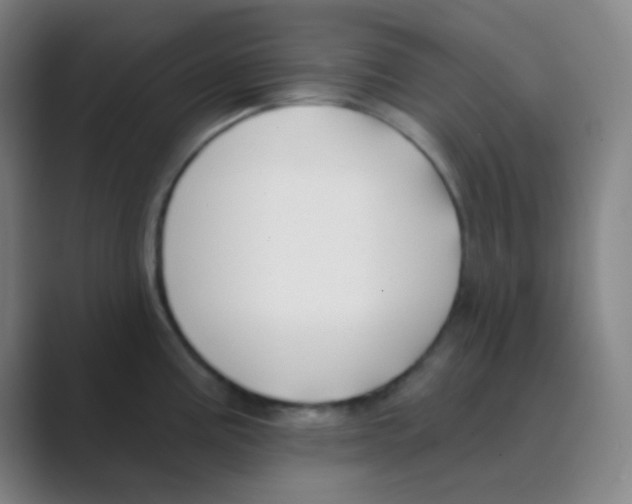 X0000088711195200706282037