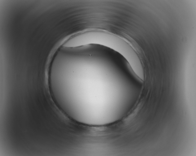 X0000088711196200706282037