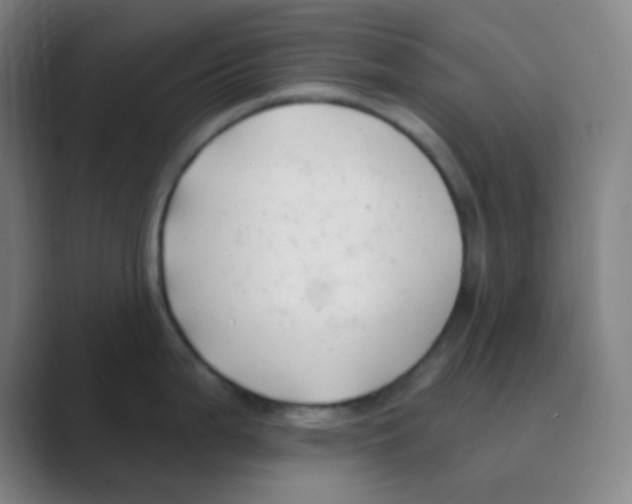 X0000088711199200706282037