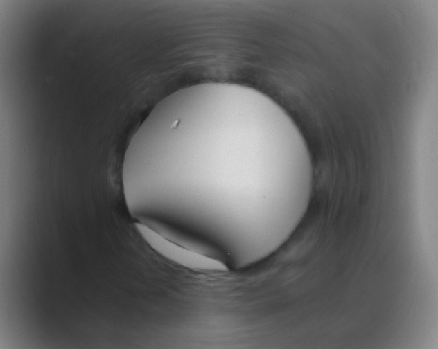 X0000088711202200706282036