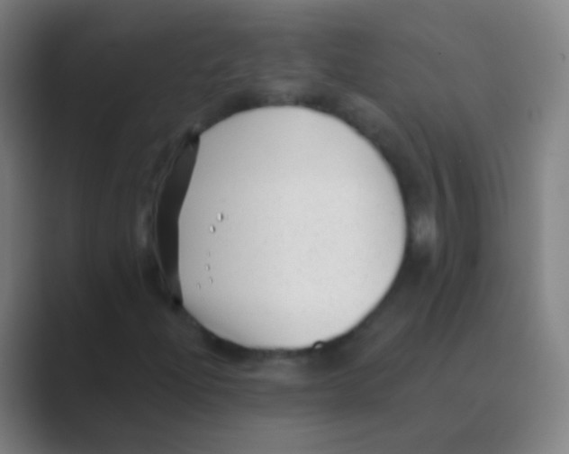 X0000088711204200706282036