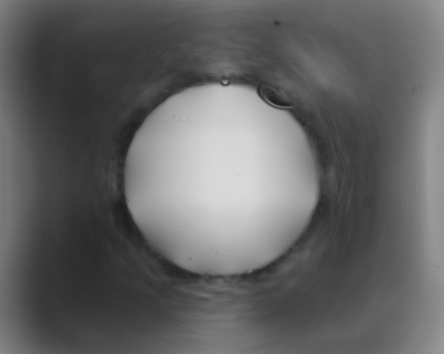 X0000088711205200706282036