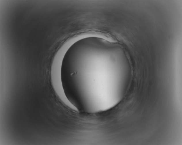 X0000088711206200706282036