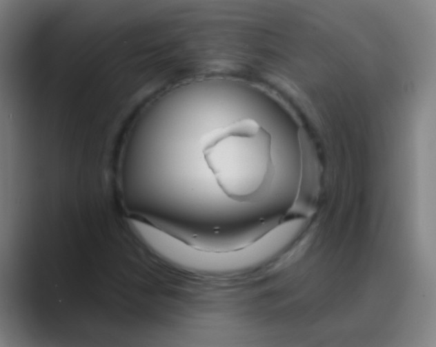 X0000088711210200706282036