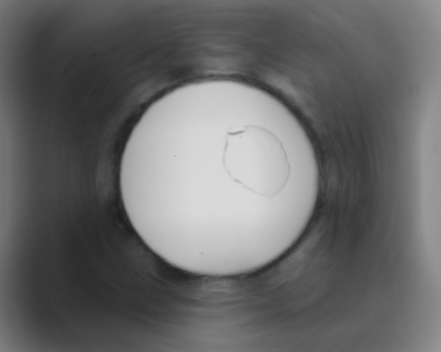 X0000088711211200706282036