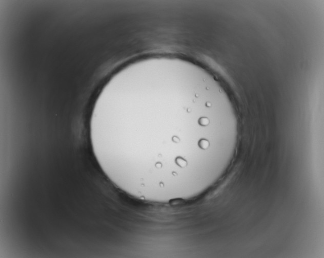 X0000088711215200706282036