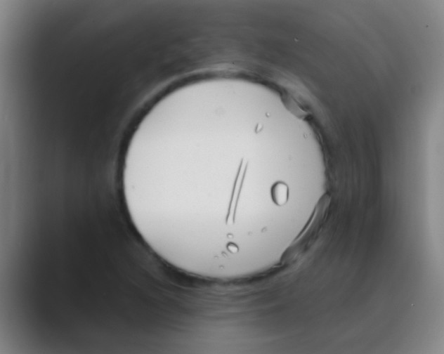 X0000088711216200706282036