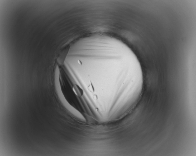 X0000088711217200706282036