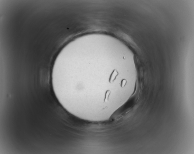 X0000088711220200706282036