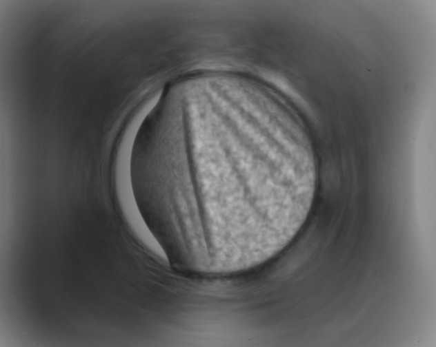 X0000088711221200706282036