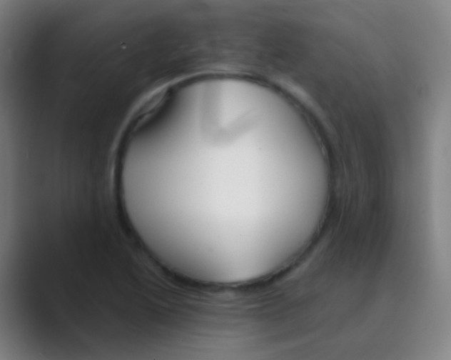 X0000088711222200706282036