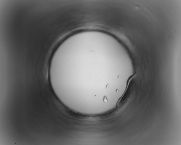 X0000088711224200706282036