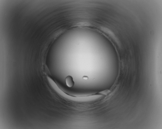 X0000088711225200706282036