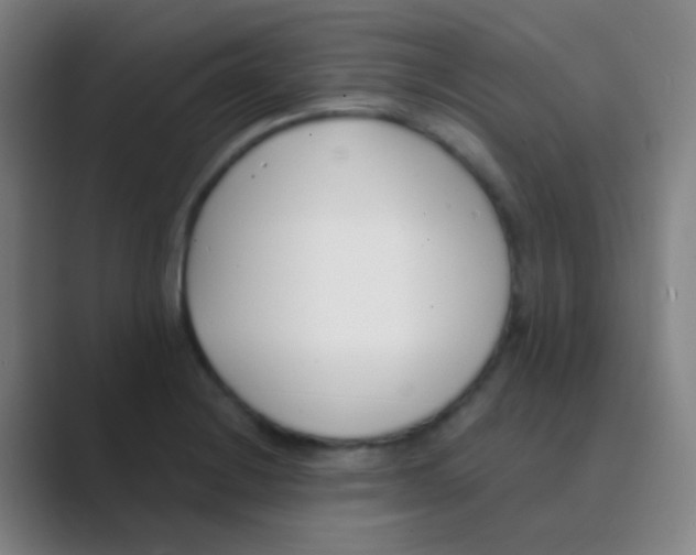 X0000088711228200706282036