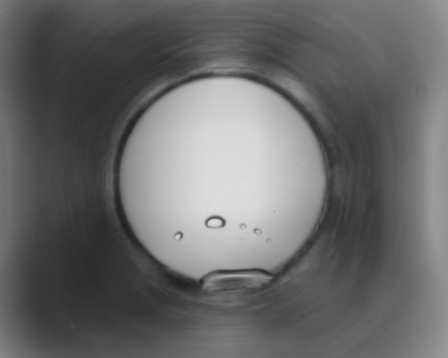 X0000088711229200706282036