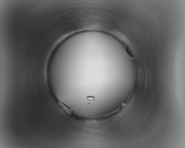 X0000088711230200706282036