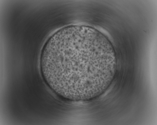 X0000088711231200706282036