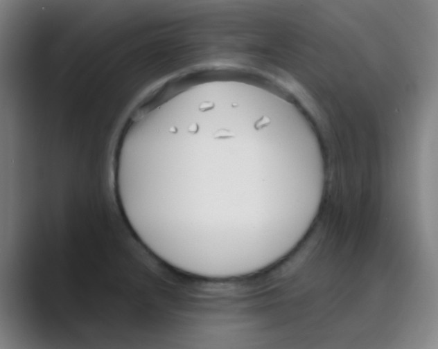 X0000088711232200706282036