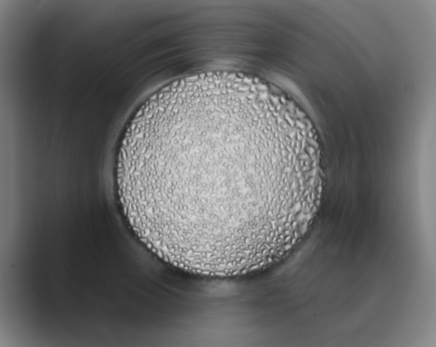 X0000088711235200706282036