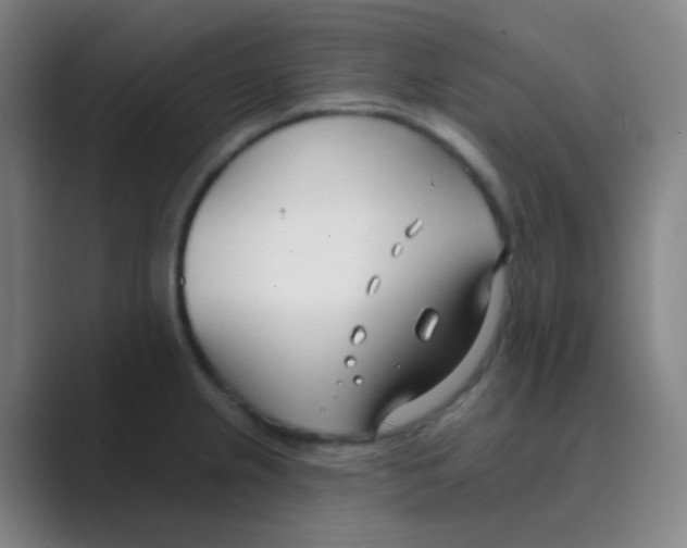 X0000088711237200706282036