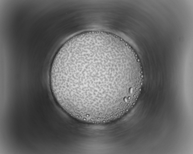 X0000088711239200706282037