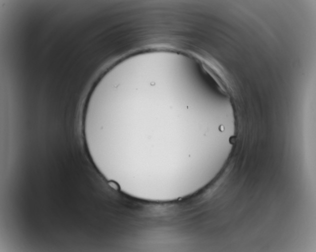 X0000088711240200706282037