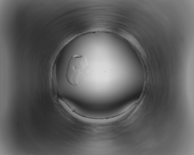 X0000088711242200706282037