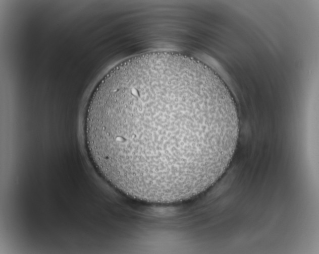 X0000088711243200706282037