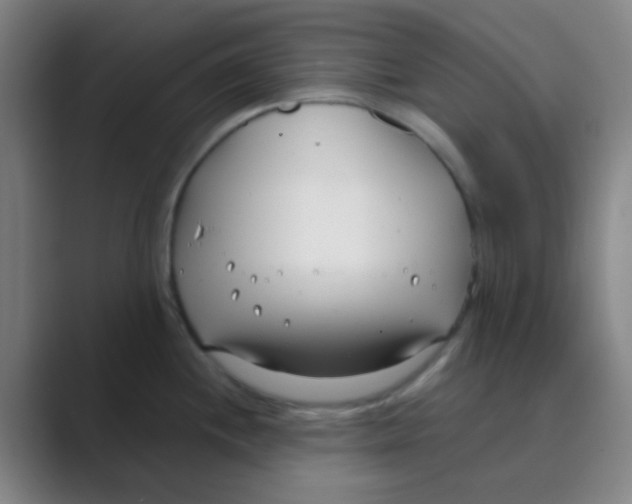 X0000088711244200706282037