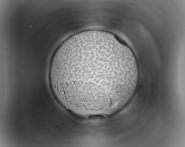 X0000088711245200706282037