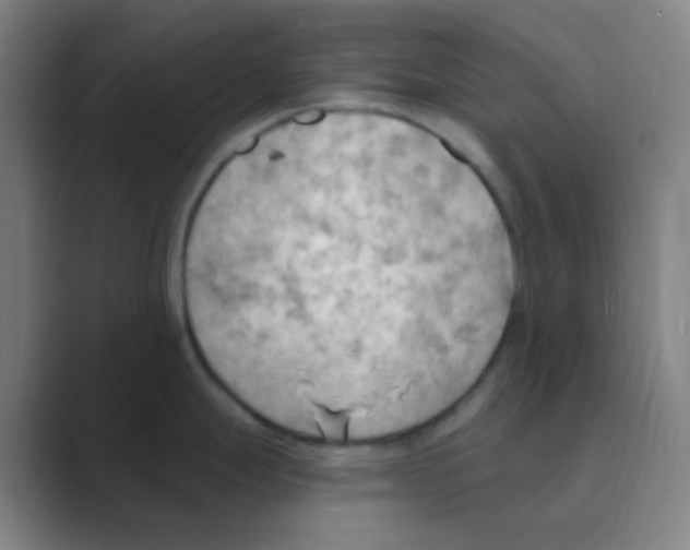 X0000088711247200706282037