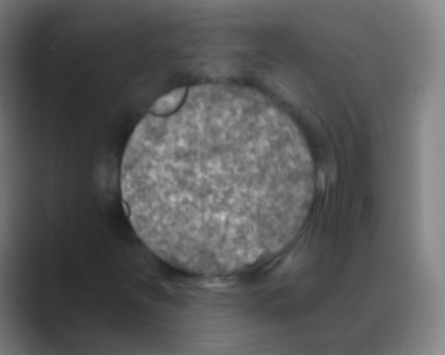 X0000088711251200706282036